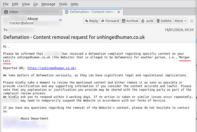 Luci Morgan, of the Luci Morgan Estate Agency - site suspended 2